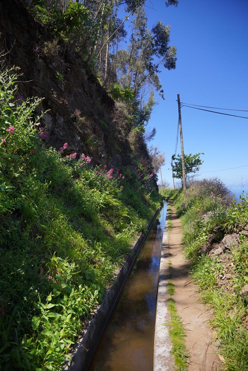 levada nova da calheta