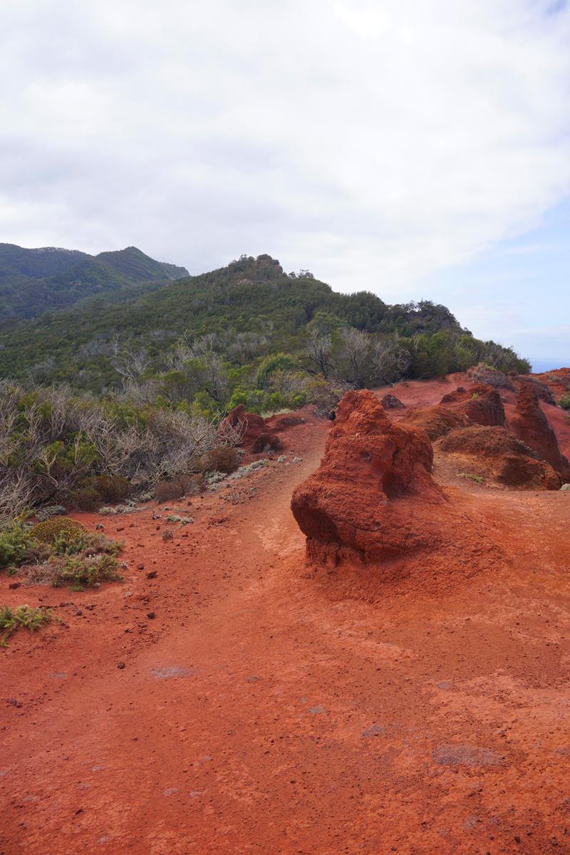 Rocadas - vereda boca do risco