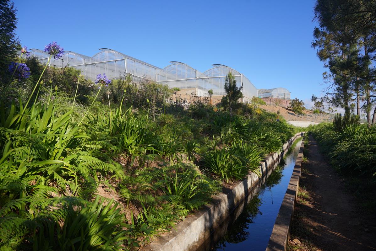 szklarnie - levada nova da calheta